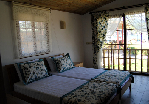 home-image